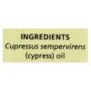 Aura Cacia - Essential Solutions Oil Cypress - 0.5 fl oz